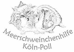 Meerschweinchenhilfe Köln-Poll