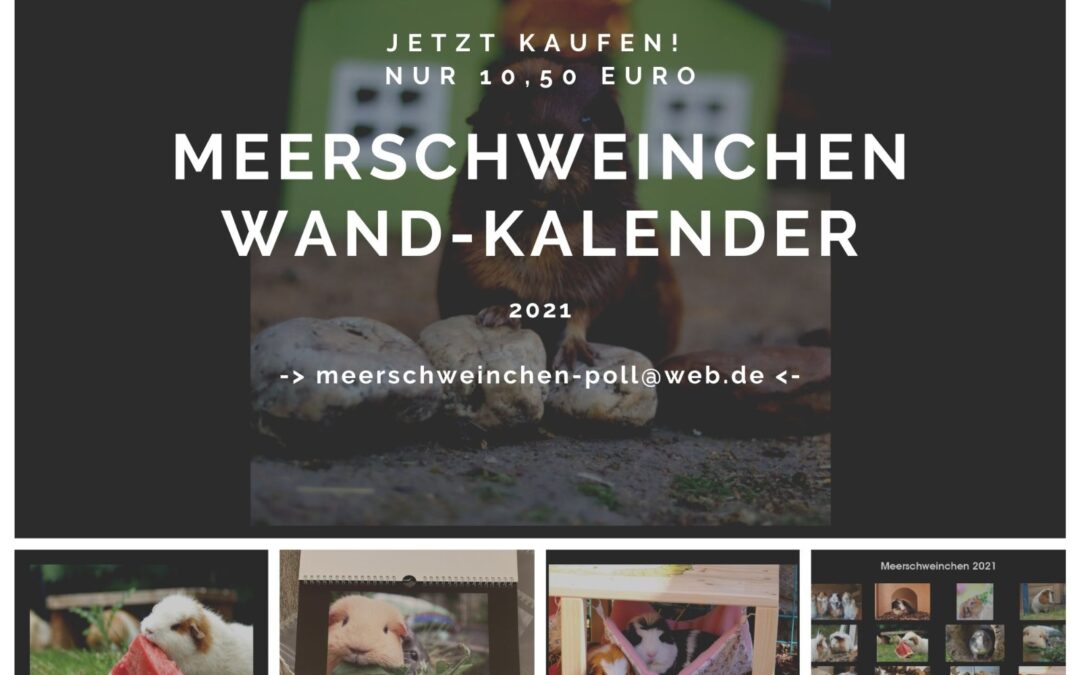 Jetzt bestellen: Kalender für 2021