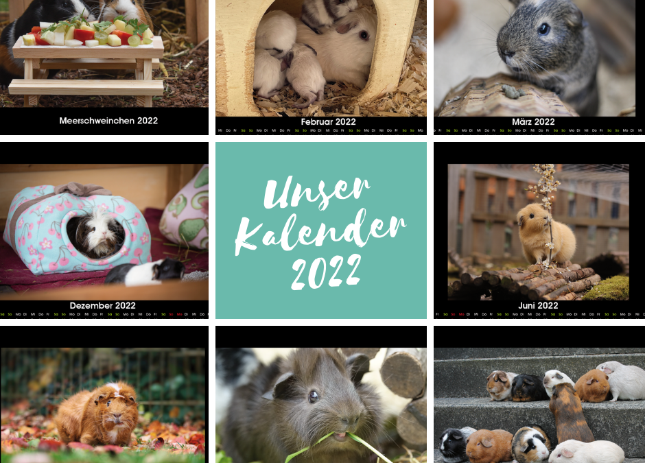 Die Kalender für 2022 sind im Druck – jetzt schon bestellen!