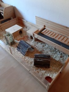 Pflegestelle Wachtberg Innengehege