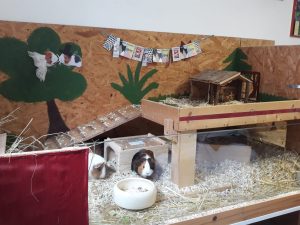 Pflegestelle Zülpich 2 Innen Nahansicht
