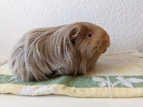 Edna